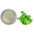 100% Natural water soluble Centella asiatica powder